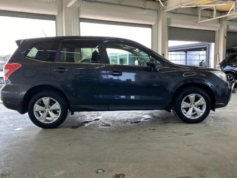 FORESTER
