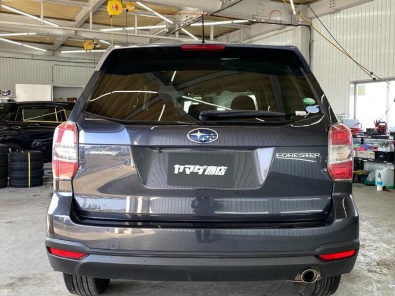 FORESTER