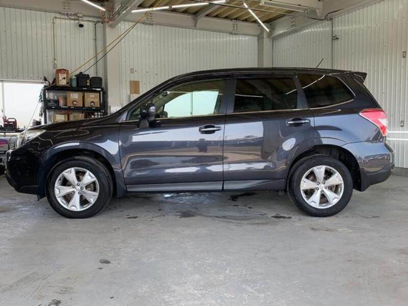 FORESTER