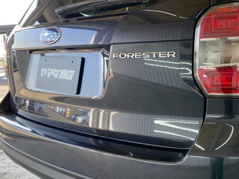 FORESTER