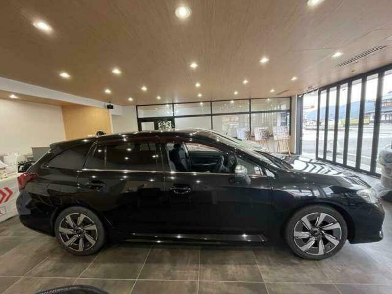 LEVORG