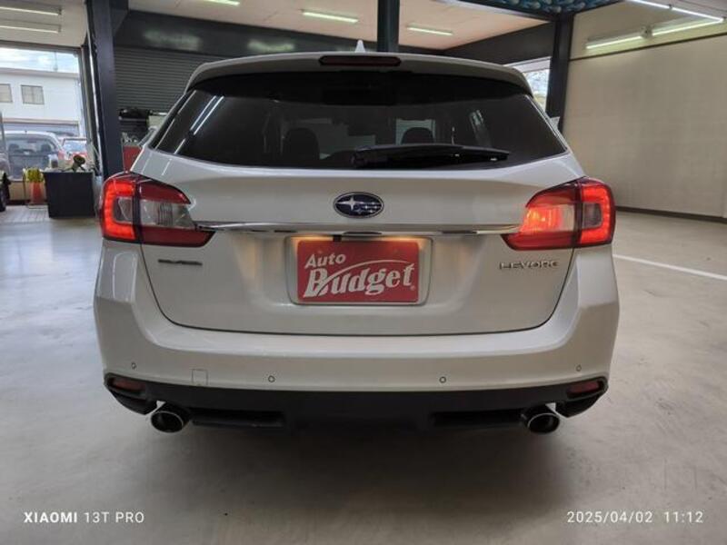 LEVORG