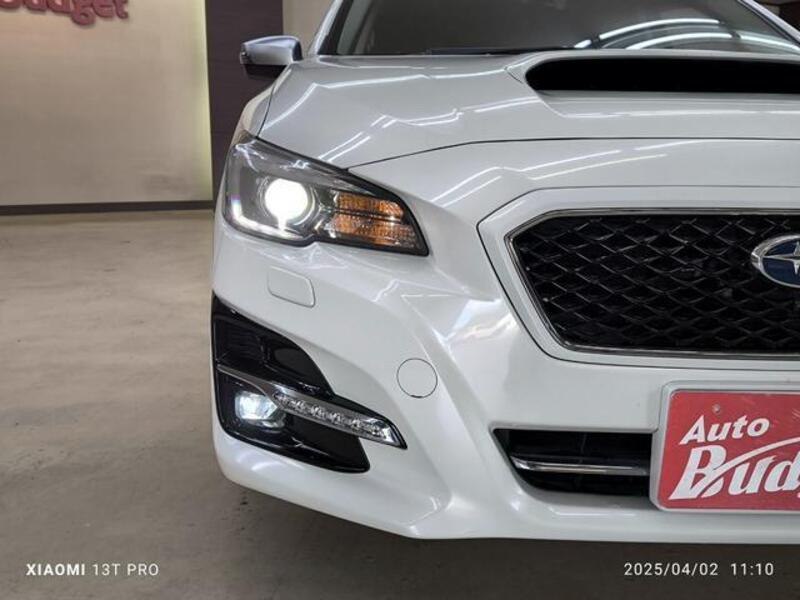 LEVORG