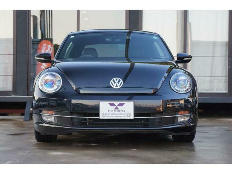 THE BEETLE
