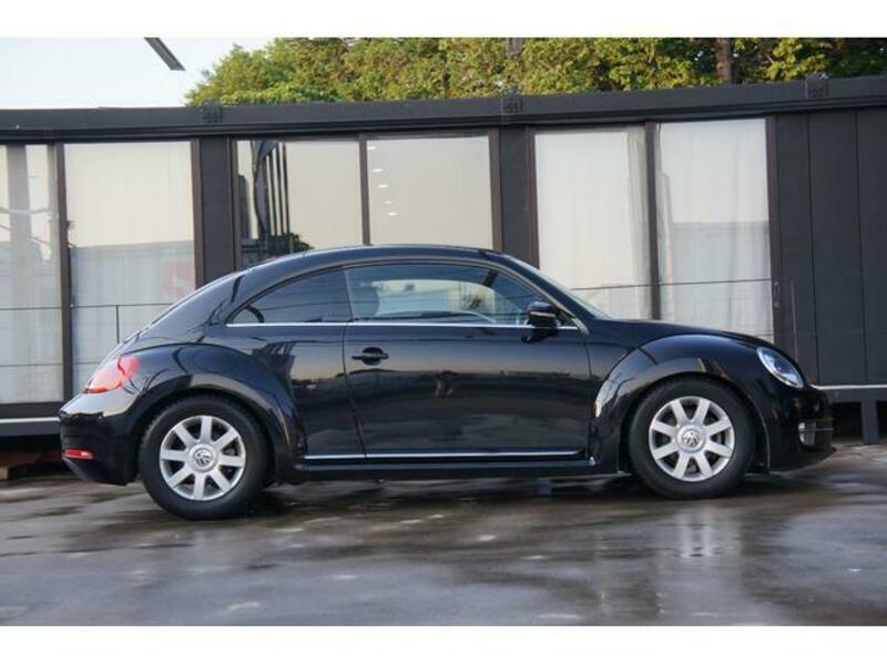 THE BEETLE