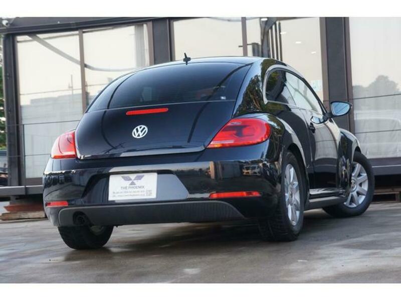 THE BEETLE