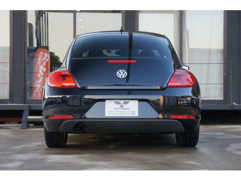 THE BEETLE