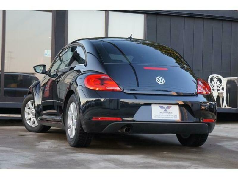 THE BEETLE
