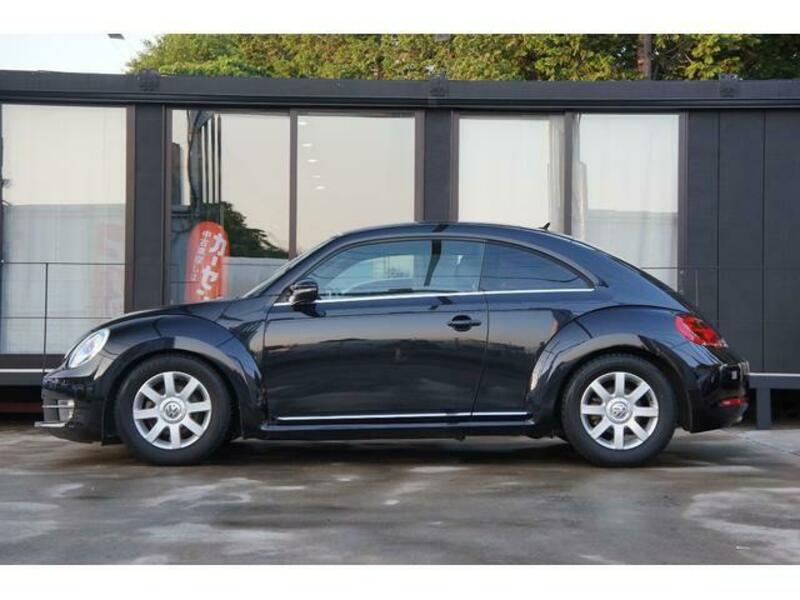 THE BEETLE