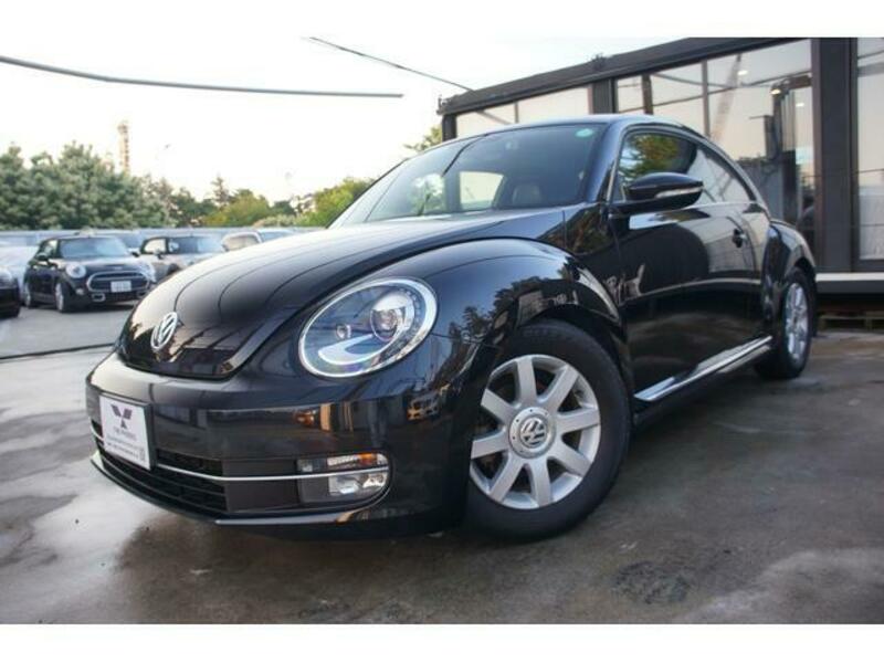 THE BEETLE