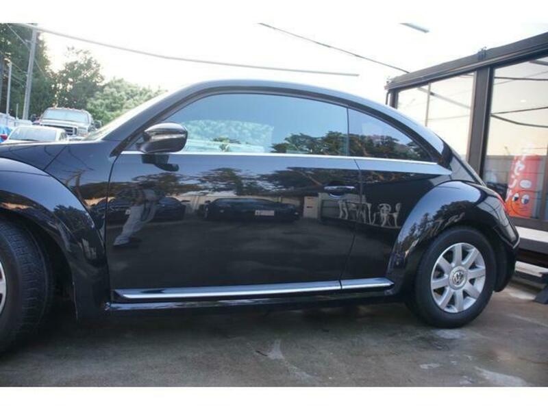 THE BEETLE