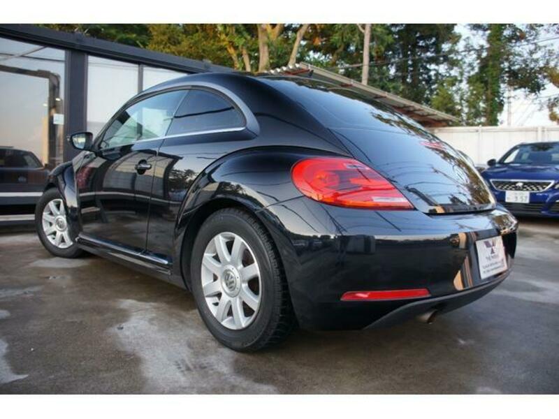 THE BEETLE