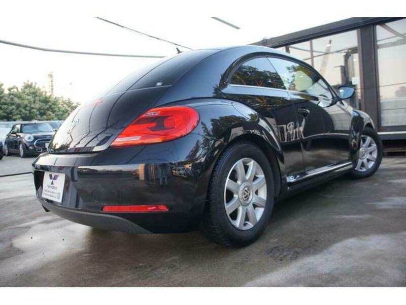 THE BEETLE