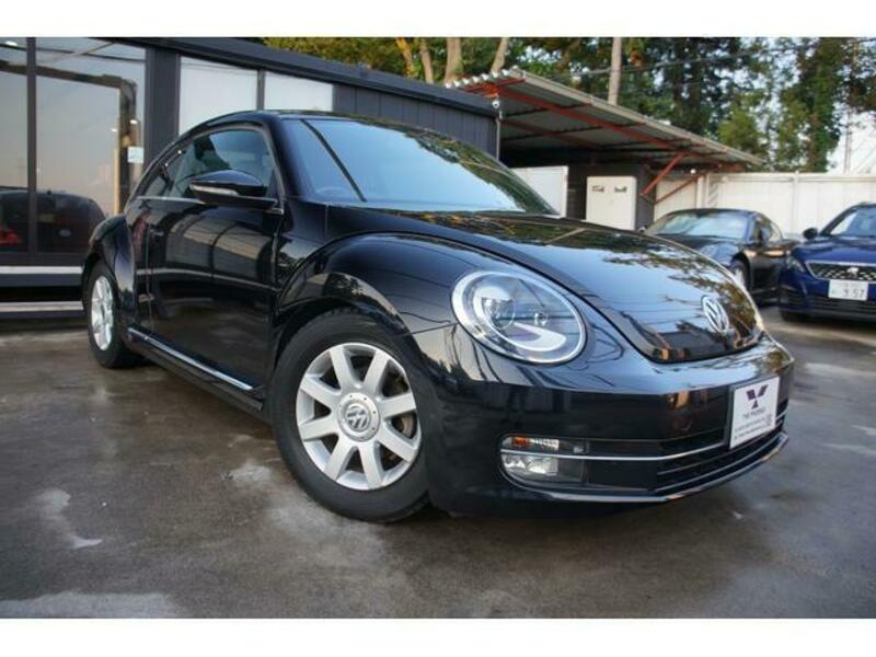 THE BEETLE