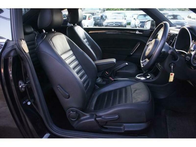 THE BEETLE