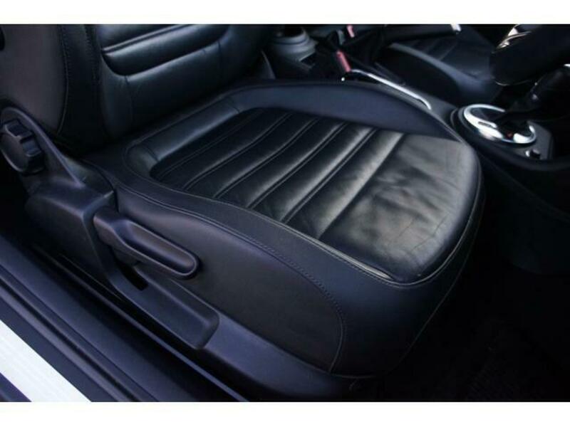 THE BEETLE