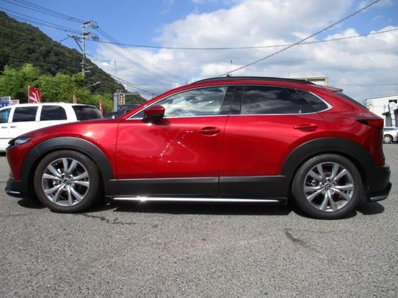 CX-30