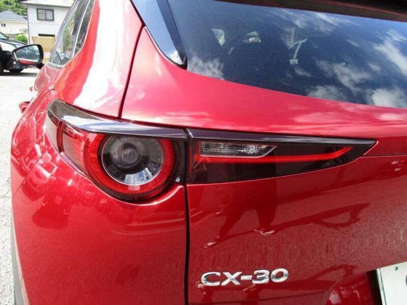 CX-30
