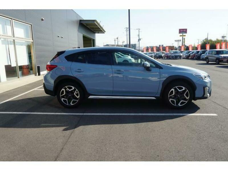 XV