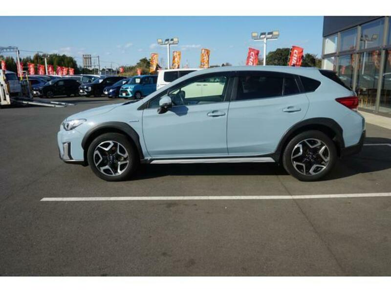 XV