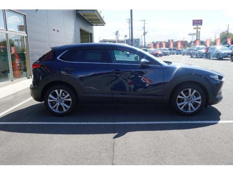 CX-30