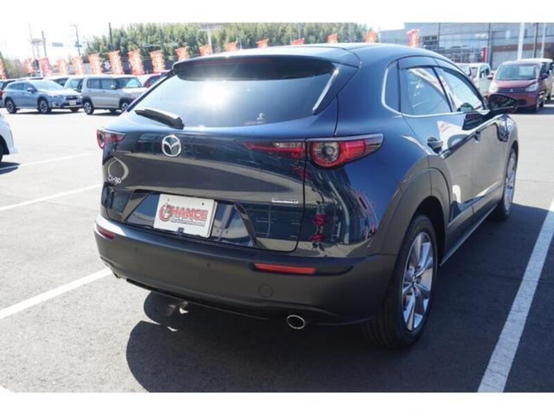 CX-30