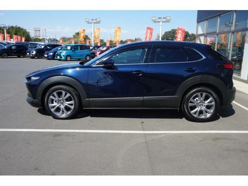 CX-30