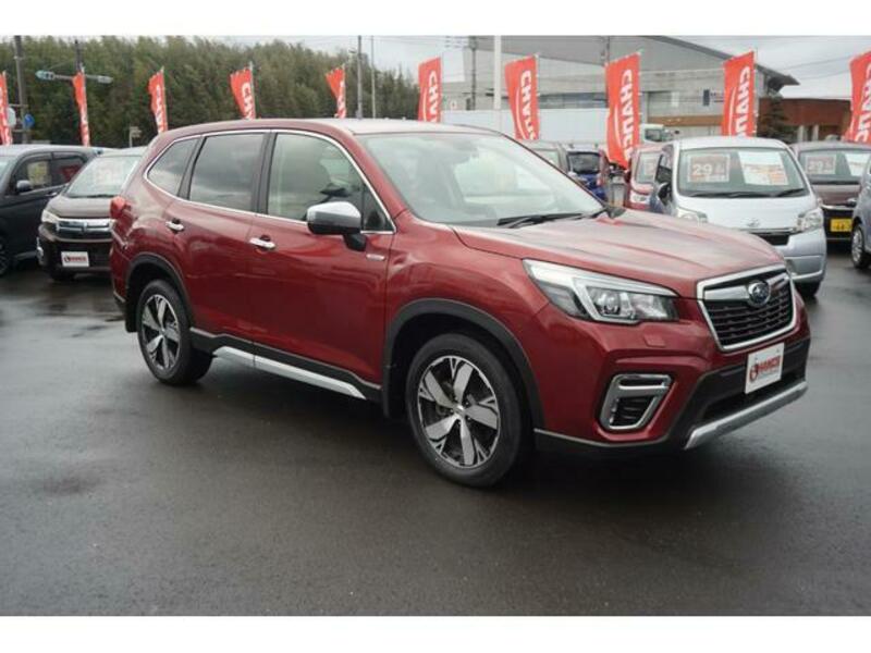 FORESTER