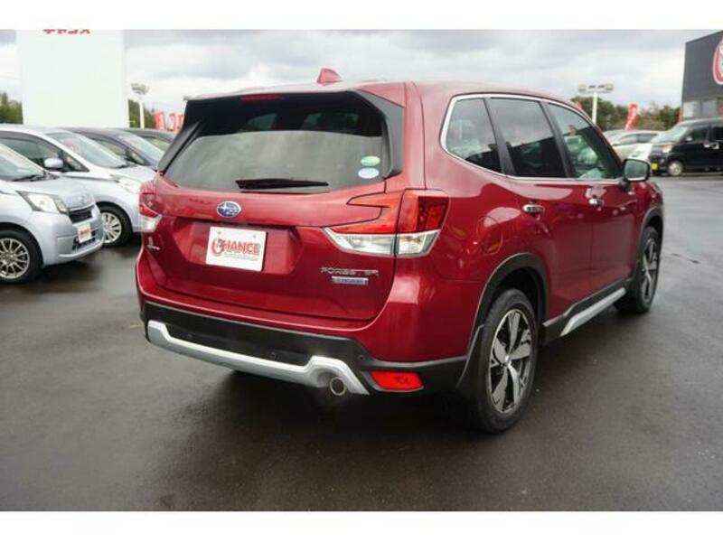 FORESTER