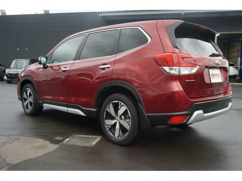 FORESTER