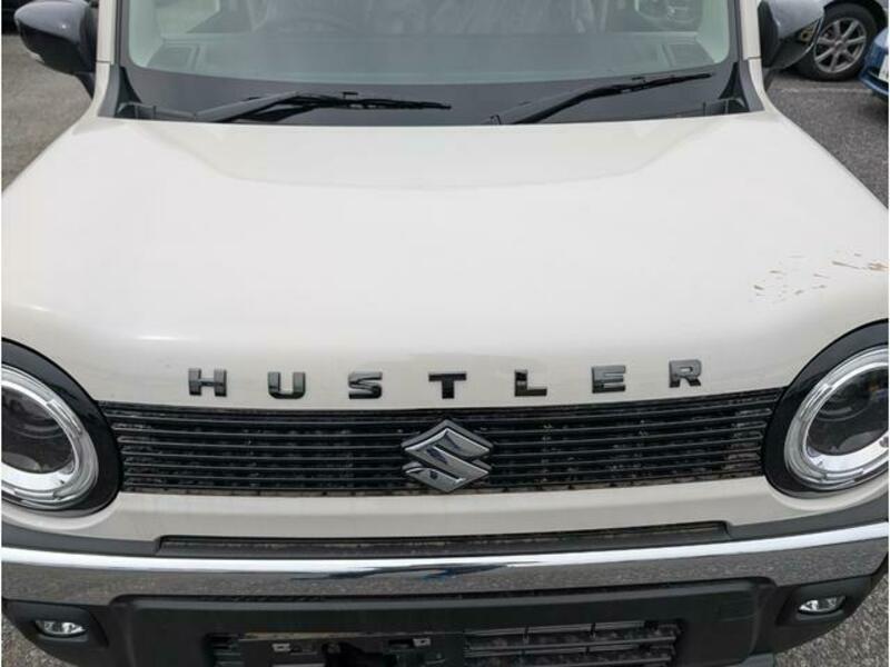 HUSTLER