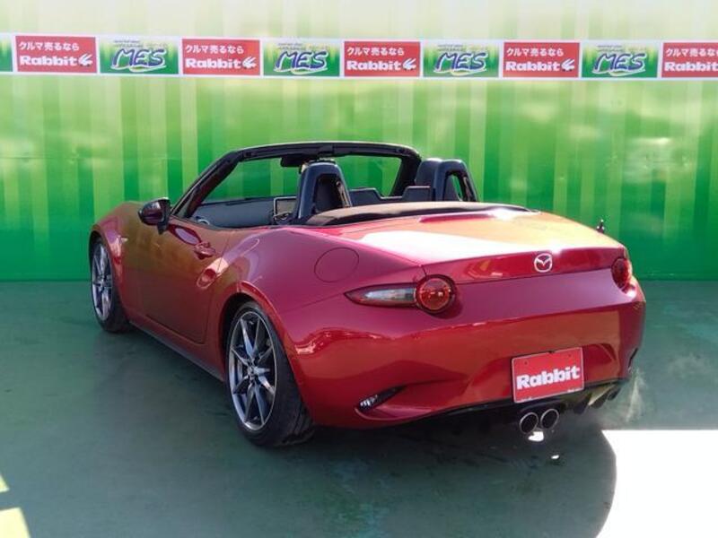 ROADSTER