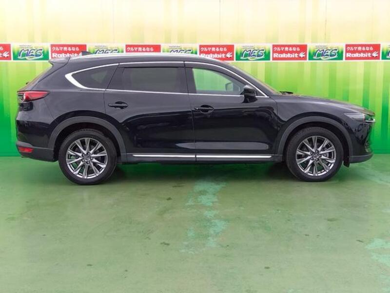 CX-8