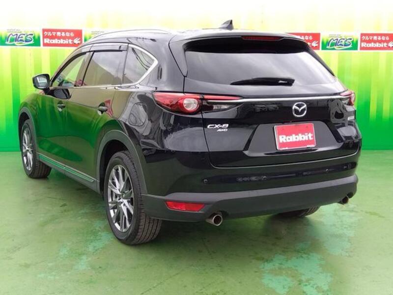 CX-8