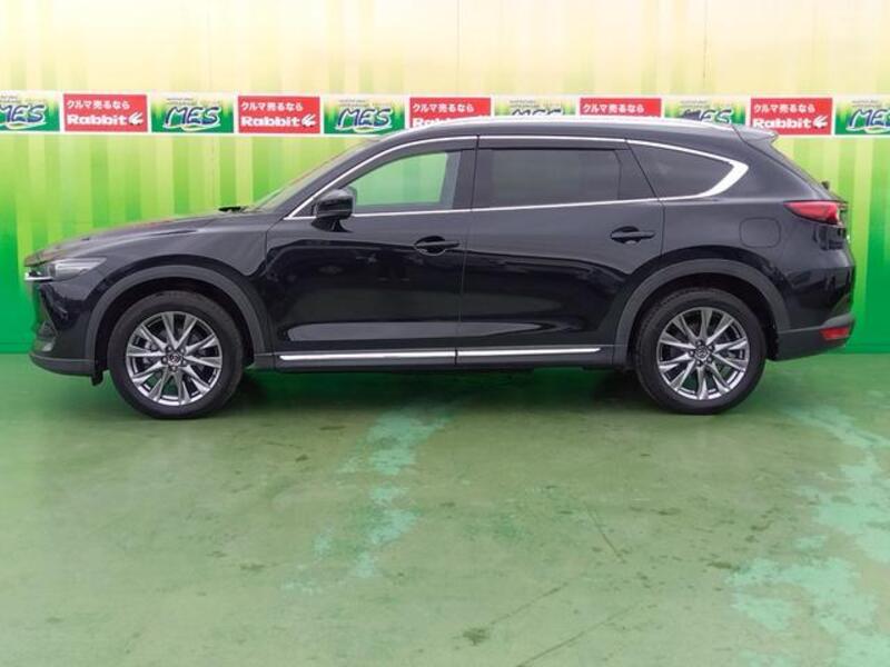 CX-8