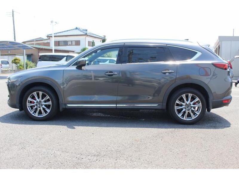 CX-8