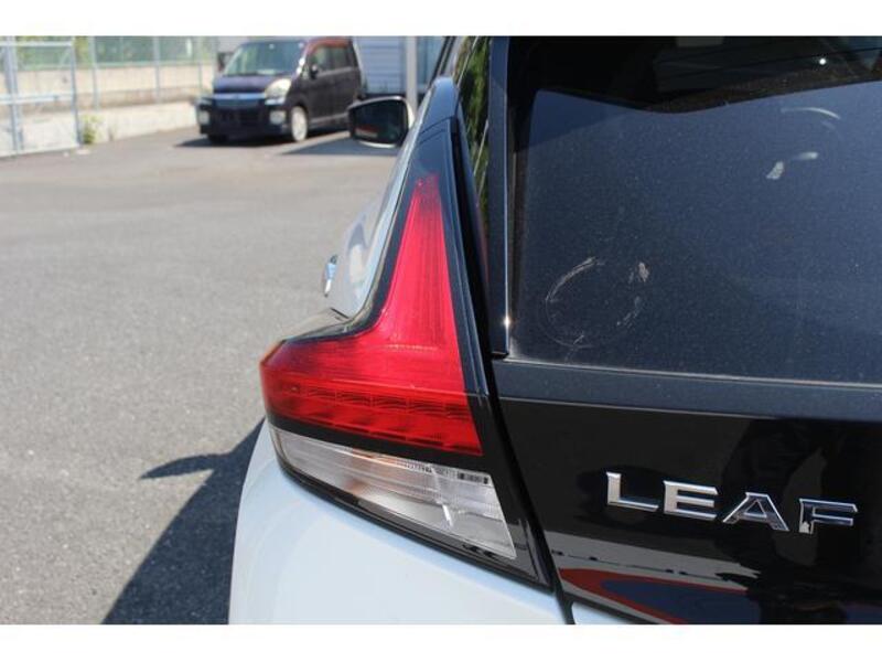 LEAF