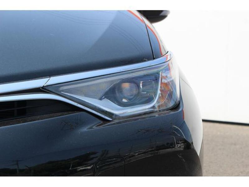 AURIS