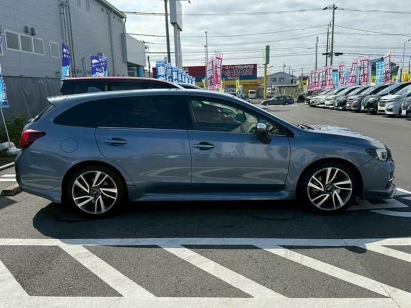 LEVORG