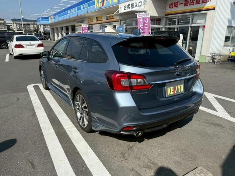 LEVORG