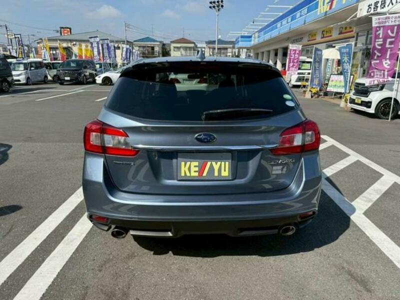LEVORG