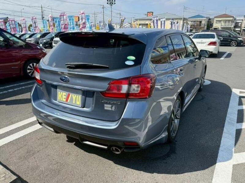 LEVORG