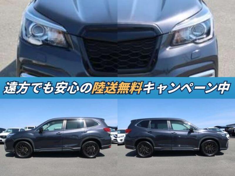 FORESTER