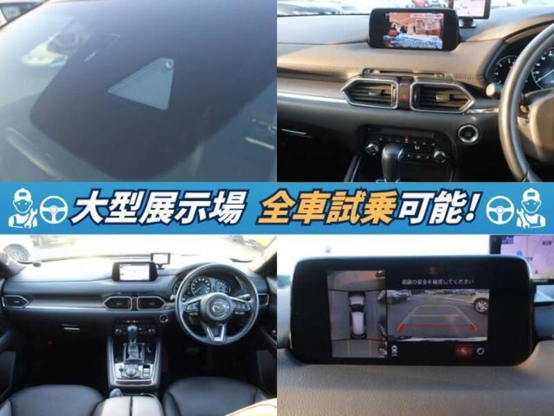 CX-8
