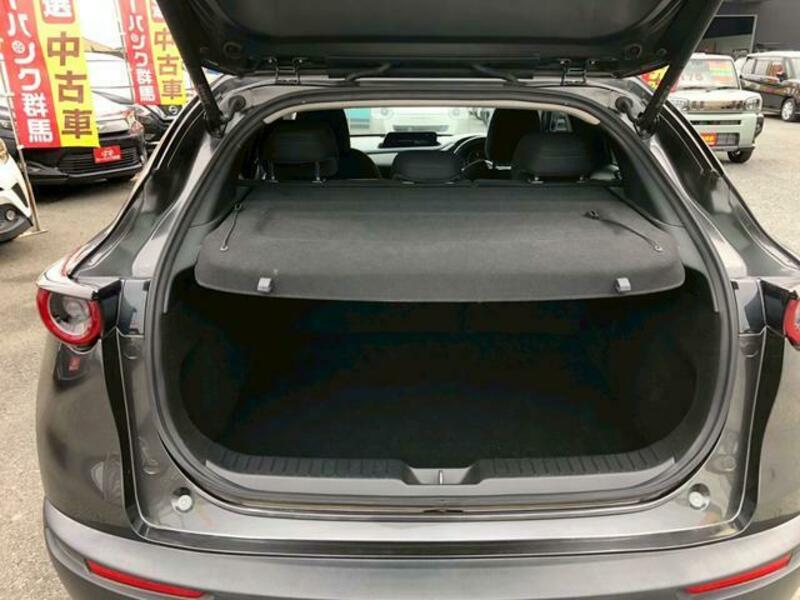 CX-30