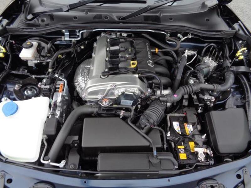 ROADSTER RF