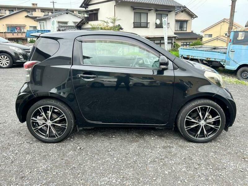 IQ