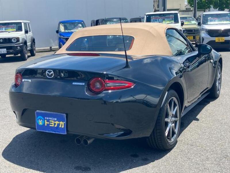 ROADSTER
