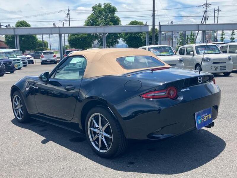ROADSTER
