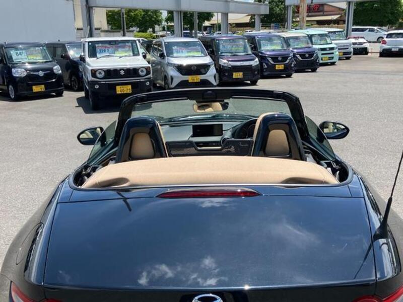 ROADSTER